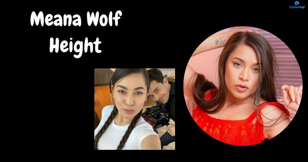 Meana Wolf Height