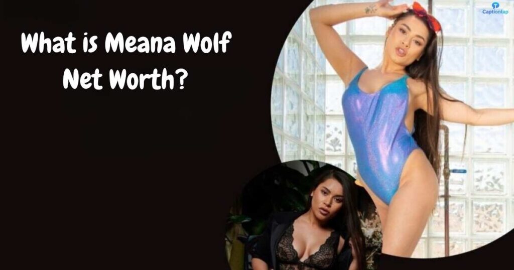 What is Meana Wolf Net Worth?